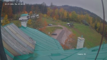Zvičina