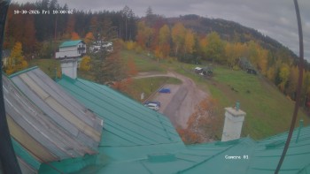 Zvičina