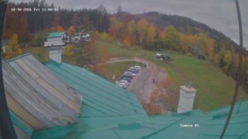 Zvičina