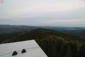 Snímek    15.5.2025 v 06:15