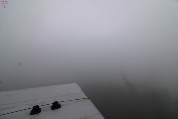 Snímek    4.7.2025 v 08:45