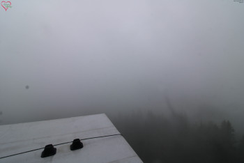 Snímek    4.7.2025 v 09:45