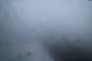 Snímek    7.7.2025 v 05:45
