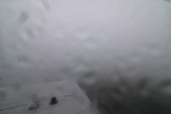 Snímek    7.7.2025 v 07:30
