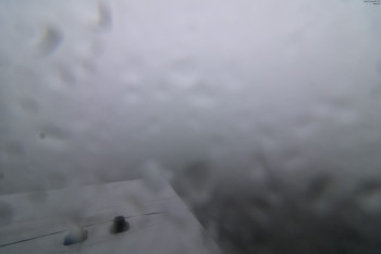 Snímek    7.7.2025 v 07:45