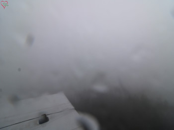 Snímek 17.11.2025 v 09:30