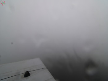 Snímek 17.11.2025 v 10:45