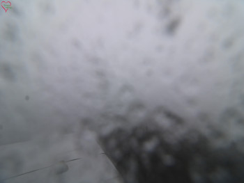 Snímek 17.11.2025 v 11:45