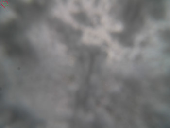 Snímek 18.11.2025 v 08:15