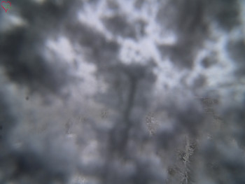 Snímek    18.11.2025 v 13:45