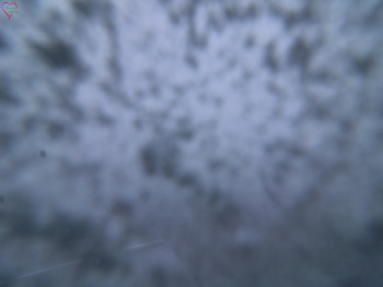 Snímek    20.11.2025 v 14:45