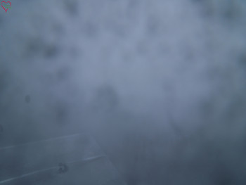 Snímek    20.11.2025 v 16:30