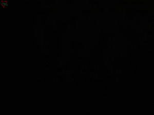 Rozhledna Poledník - Rozhledna Poledník - 23.12.2025 v 05:45