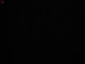 Rozhledna Poledník - Rozhledna Poledník - 23.12.2025 v 06:45