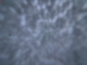 Rozhledna Poledník - Rozhledna Poledník - 23.12.2025 v 09:45