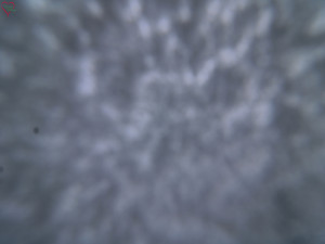 Rozhledna Poledník - Rozhledna Poledník - 23.12.2025 v 10:15