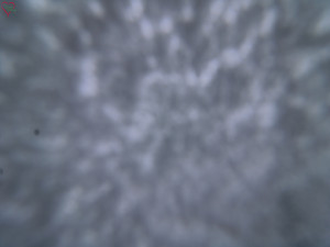 Rozhledna Poledník - Rozhledna Poledník - 23.12.2025 v 10:45