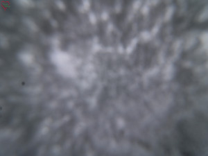 Rozhledna Poledník - Rozhledna Poledník - 23.12.2025 v 11:45