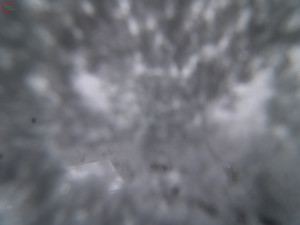 Rozhledna Poledník - Rozhledna Poledník - 23.12.2025 v 12:45