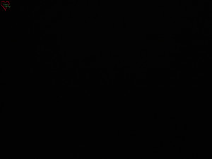 Rozhledna Poledník - Rozhledna Poledník - 23.12.2025 v 18:30