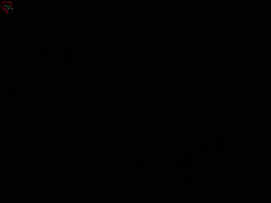 Rozhledna Poledník - Rozhledna Poledník - 23.12.2025 v 21:45