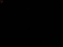 Rozhledna Poledník
