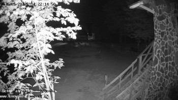 Snímek    14.5.2025 v 22:15