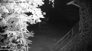 Snowparadise Veľká Rača - Dětská lyžařská školka - 15.6.2025 v 00:45