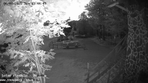 Snowparadise Veľká Rača - Dětská lyžařská školka - 6.7.2025 v 03:45