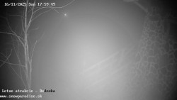 Dětská lyžařská školka