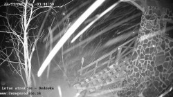 Dětská lyžařská školka