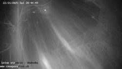 Dětská lyžařská školka