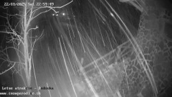 Dětská lyžařská školka