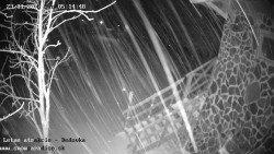 Dětská lyžařská školka