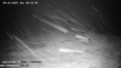 Dětská lyžařská školka