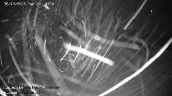 Snowparadise Veľká Rača