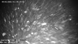 Dětská lyžařská školka