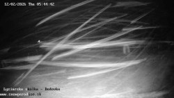 Dětská lyžařská školka