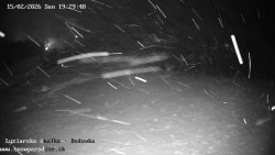 Dětská lyžařská školka