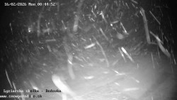 Dětská lyžařská školka