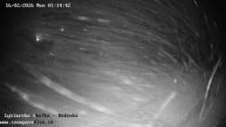 Dětská lyžařská školka