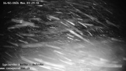 Dětská lyžařská školka