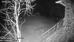 Dětská lyžařská školka