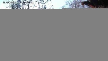 Snowparadise Veľká Rača