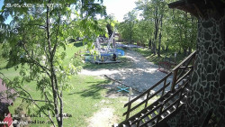 Dětská lyžařská školka