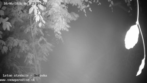Snowparadise Veľká Rača - Dětská lyžařská školka - 11.6.2026 v 00:00
