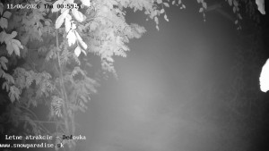 Snowparadise Veľká Rača - Dětská lyžařská školka - 11.6.2026 v 01:00