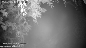 Snowparadise Veľká Rača - Dětská lyžařská školka - 11.6.2026 v 02:00