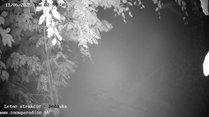 Snowparadise Veľká Rača - Dětská lyžařská školka - 11.6.2026 v 03:00