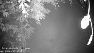 Snowparadise Veľká Rača - Dětská lyžařská školka - 11.6.2026 v 04:00